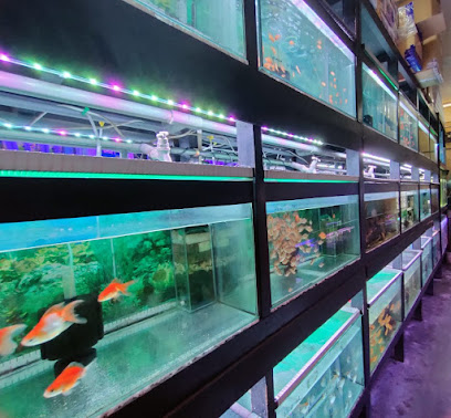 J S Y Aquarium & Pet Shop