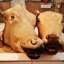 Grocery Store «Gonzalez Market», reviews and photos, 1220 S Redwood Rd, Salt Lake City, UT 84104, USA