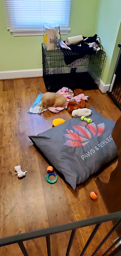 Pet Supply Store «PetSmart», reviews and photos, 1110 Hospitality Dr, Rock Hill, SC 29730, USA