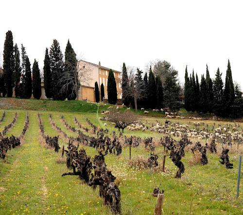 Château Le Puy Saurette à Apt