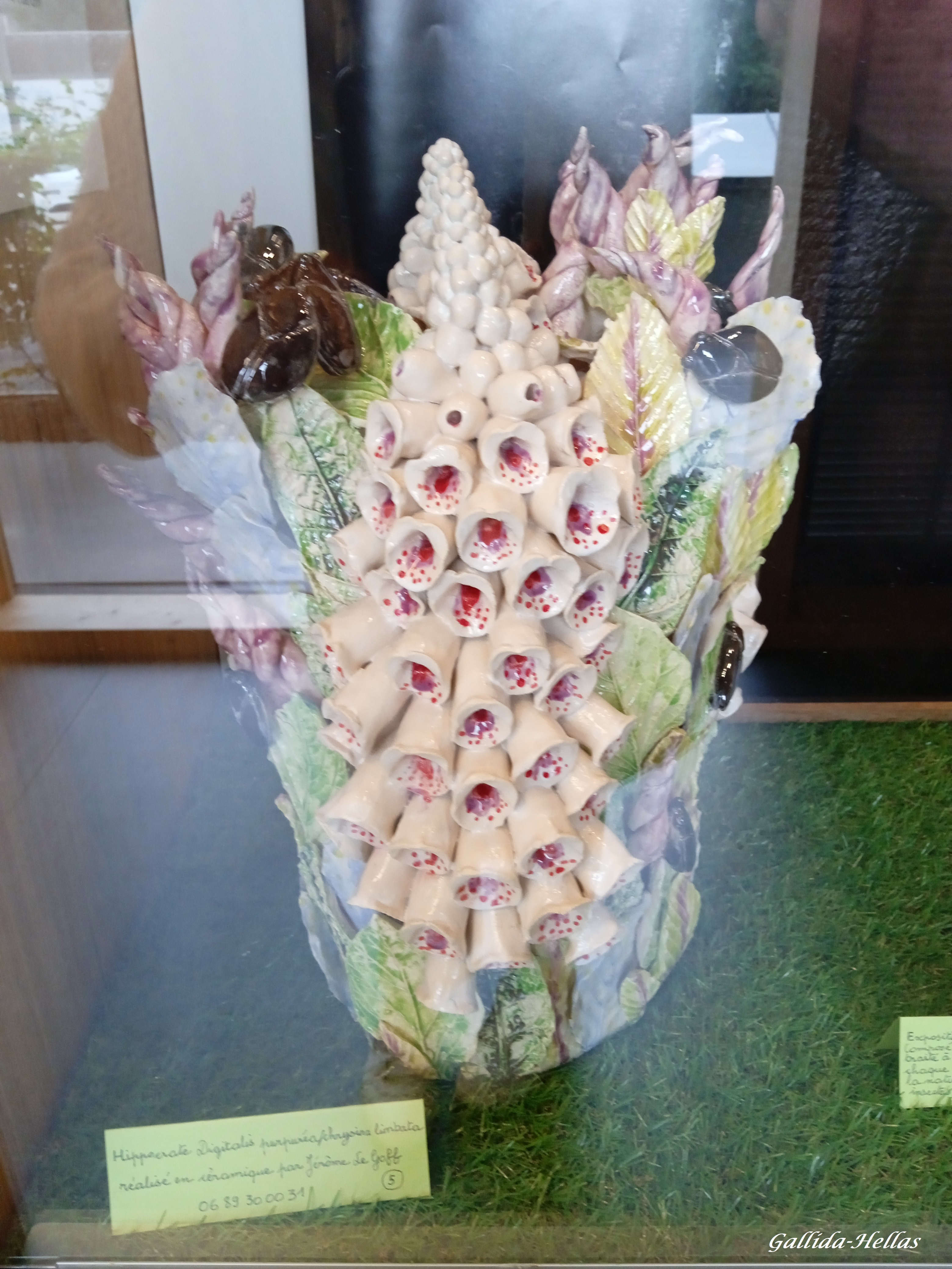 Photo n° 24 de l'avis de Gallida-Hellas. fait le 27/09/2023 à 03:43