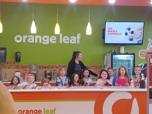 Frozen Yogurt Shop «Orange Leaf Frozen Yogurt», reviews and photos, 21501 21 Mile Rd, Macomb, MI 48044, USA
