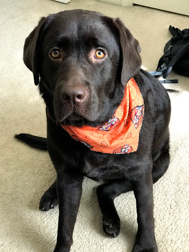 Marine Supply Store «West Marine», reviews and photos, 16728 General Puller Hwy, Deltaville, VA 23043, USA