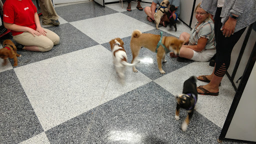 Pet Supply Store «Petco Animal Supplies», reviews and photos, 10060 US Highway 40 G-150, Ellicott City, MD 21042, USA