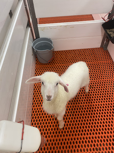 Explore meaningful early miscarriage tattoo ideas, creative tattoo ideas in Tucson, available at Sublime Tattoo