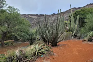 Koko Crater Botanical Garden image