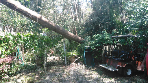 Painting «SEAPOINT PAINTING AND PRESSURE WASHING SERVICE», reviews and photos, 1066 Sea Palms W Dr, Saint Simons Island, GA 31522, USA