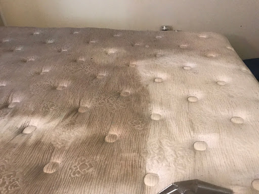 Carpet Cleaning Service «Elite Carpet Cleaning Service», reviews and photos, 29031 Glenarden St, Farmington Hills, MI 48334, USA