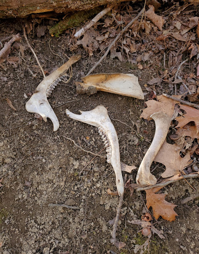 State Park «Taylorsville Lake State Park», reviews and photos, 1320 Park Rd, Mt Eden, KY 40046, USA