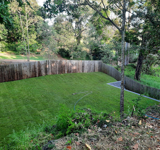 The site was sloping, and we wanted a more level neat lawn. The site was difficult to access, and they took on the challenge