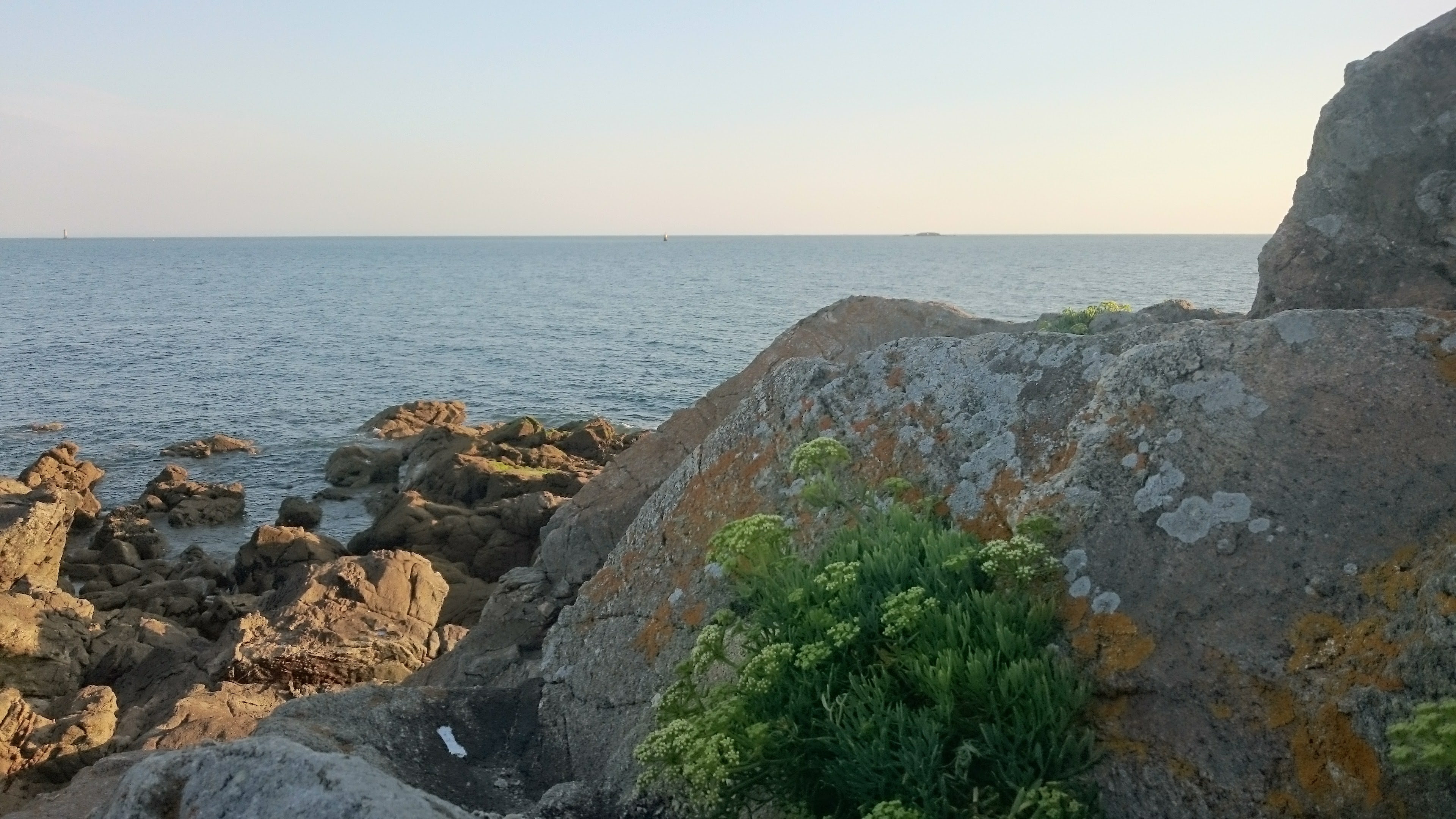 Photo n° 1 de l'avis de Tatiana.u fait le 06/07/2017 à 19:49