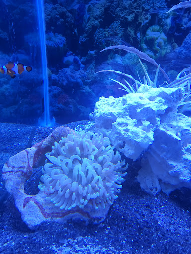 Pet Supply Store «Petco Animal Supplies», reviews and photos, 597 Hebron Rd #2, Heath, OH 43056, USA