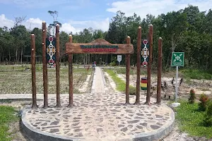 Kebun Raya Sampit image