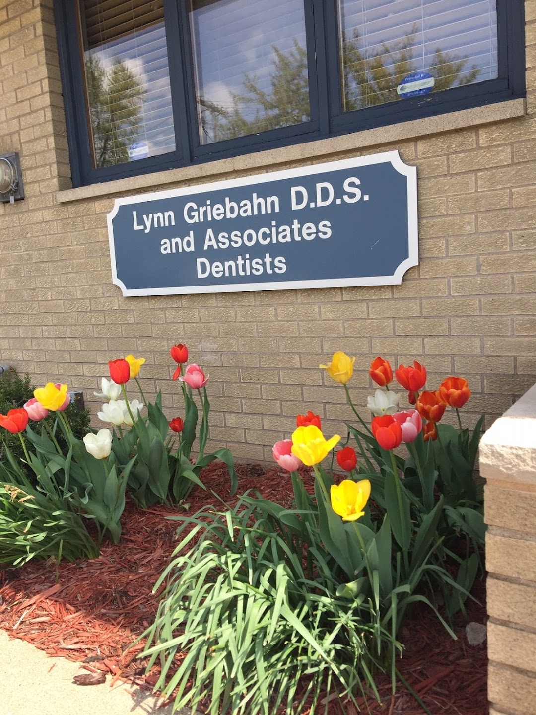Main Family Dental Care Lynn R. Griebahn and John C. Hubner