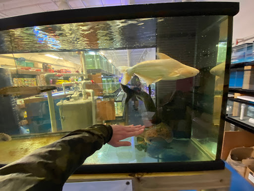 Pet Store «Fish & Pet Plus», reviews and photos, 19 Commerce St, Flemington, NJ 08822, USA