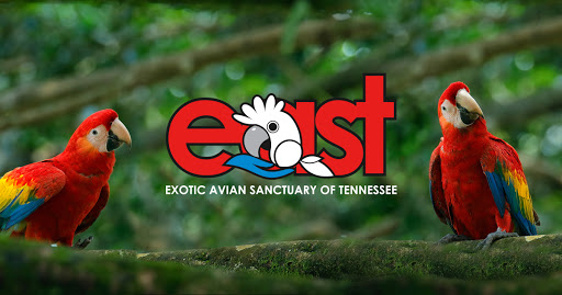 Exotic Avian Sanctuary of Tennessee, Inc.