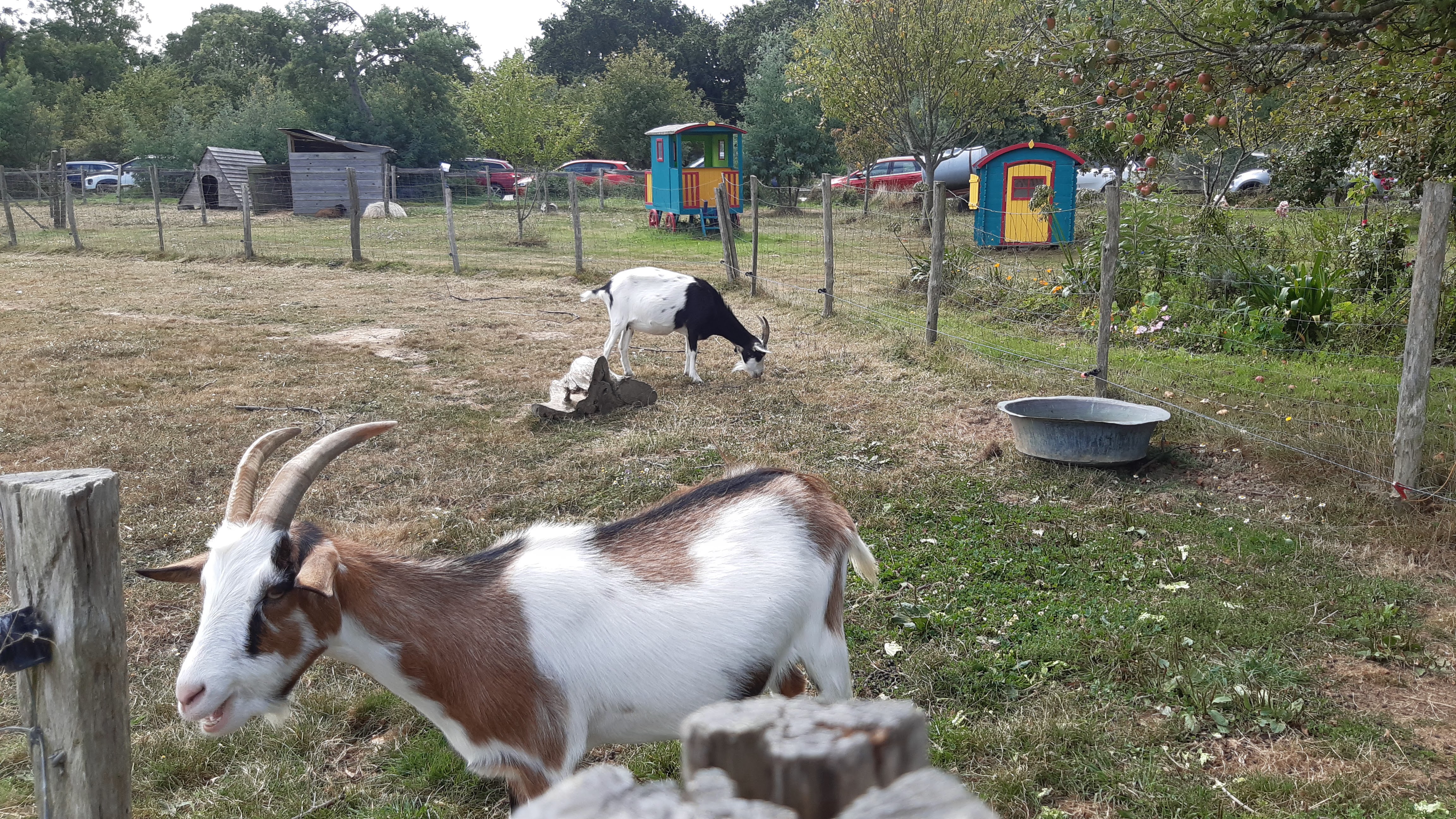 Photo n° 1 de l'avis de AGNES.E fait le 27/08/2021 à 17:14