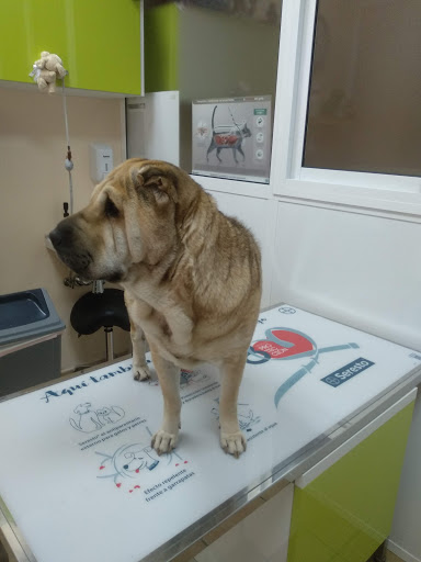Aljaraque Centro Veterinario en Aljaraque