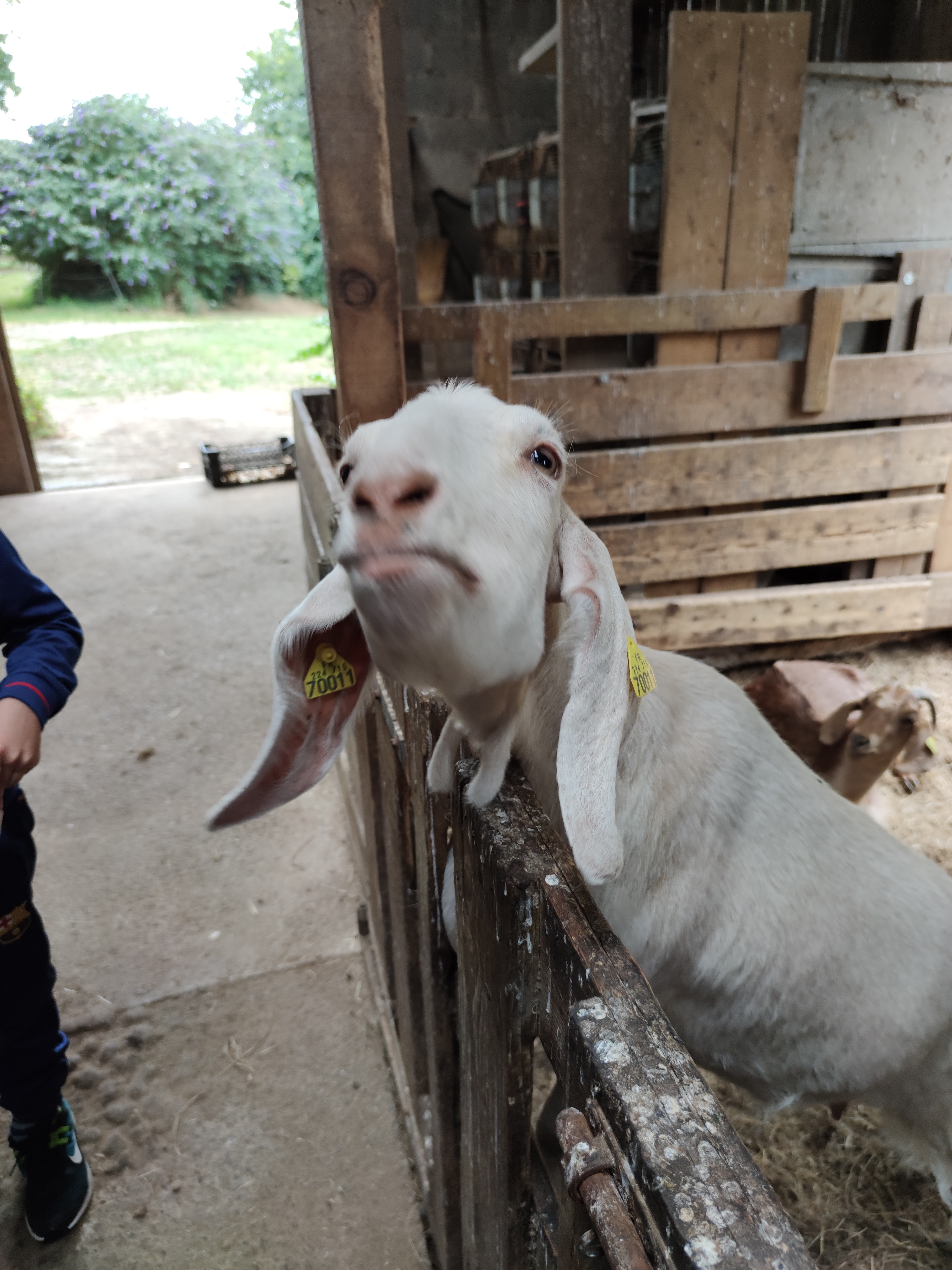 Photo n° 5 de l'avis de Fred.a fait le 14/07/2020 à 16:13