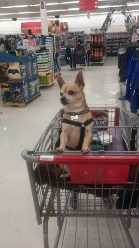 Discount Store «Kmart», reviews and photos, 2280 N Ocean Ave, Farmingville, NY 11738, USA