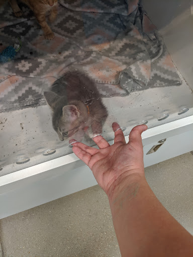 Pet Supply Store «Petco Animal Supplies», reviews and photos, 14609 Airline Hwy Ste 104, Gonzales, LA 70737, USA