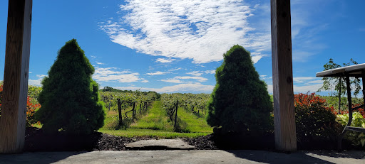 Winery «Virant Family Winery Inc», reviews and photos, 541 Atkins Rd, Geneva, OH 44041, USA