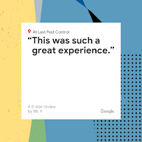 Lodi Exterminator At Last Pest Control - Photo 9 - Car repair in Lodi, NJ, Paterson