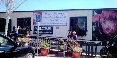 Regan Nursery