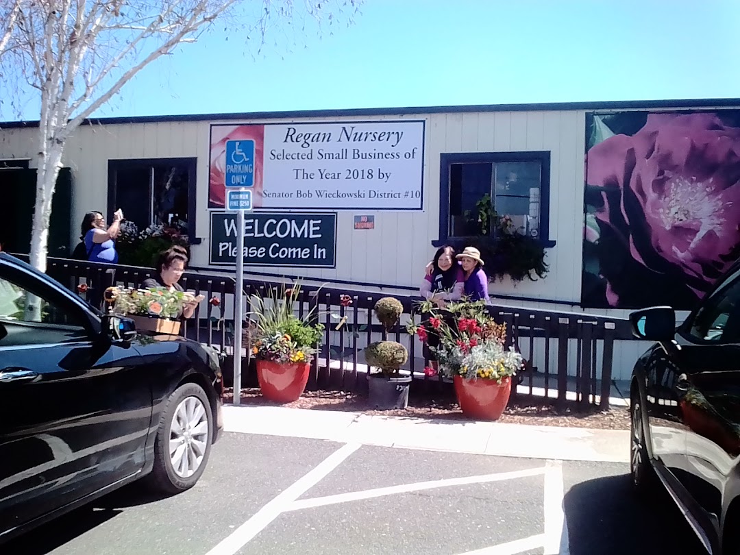Regan Nursery
