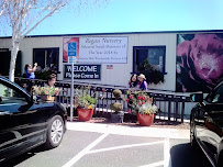 Regan Nursery - Photo 2 - Car repair in Fremont, CA, Fremont