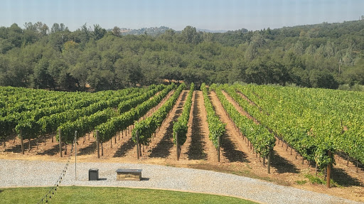 Batia Vineyards