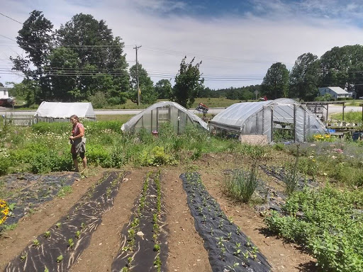 Farm «Greenleaf Farms», reviews and photos, 24 Littleworth Rd, Dover, NH 03820, USA