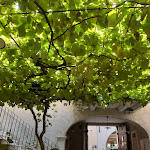 Photo n°3 de l'avis de Roberta.a fait le 11/08/2019 à 08:31 sur le  Ristorante alla Lega à Arco