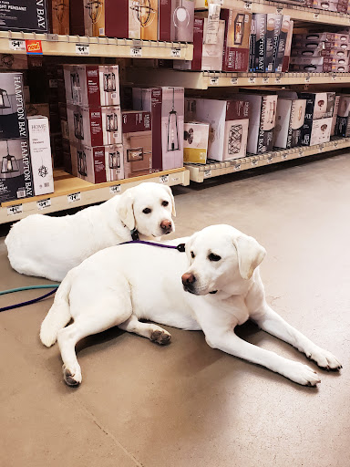 Home Improvement Store «The Home Depot», reviews and photos, 11755 Willow Creek Dr, Auburn, CA 95603, USA