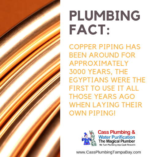 Plumber «Cass Plumbing, Inc.», reviews and photos, 4808 N Hubert Ave, Tampa, FL 33614, USA