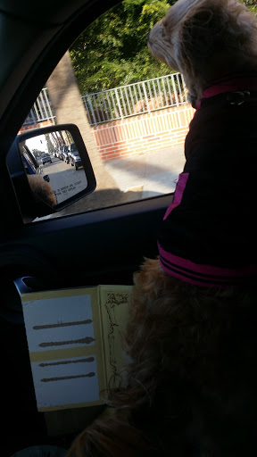 Art Supply Store «Blick Art Materials», reviews and photos, 2602 Lincoln Blvd, Santa Monica, CA 90405, USA