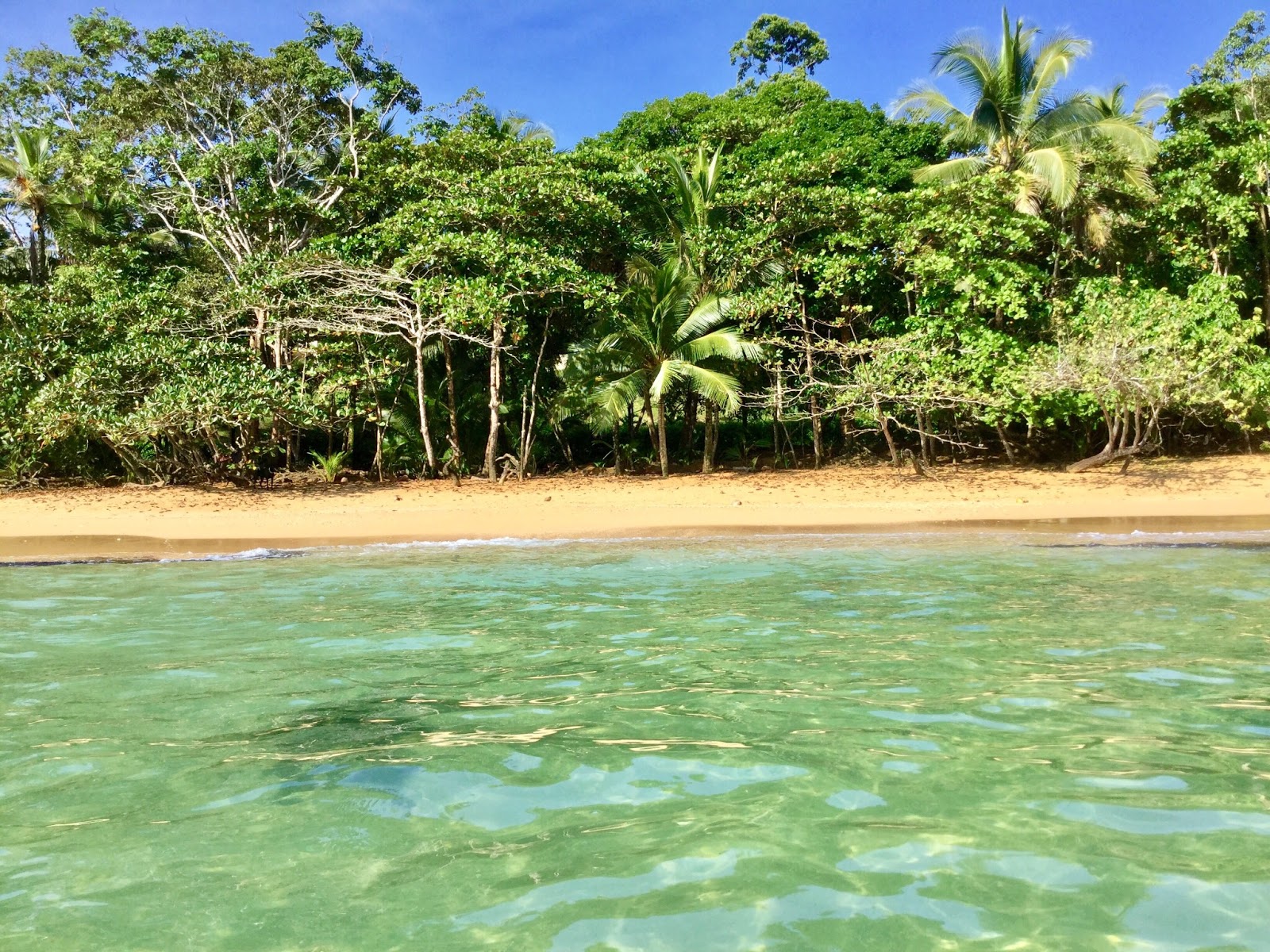 Photo de Tesoro Escondido Beach situé dans une zone naturelle