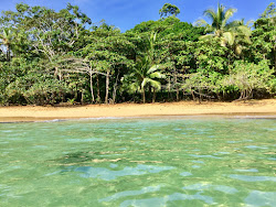 Photo de Tesoro Escondido Beach situé dans une zone naturelle