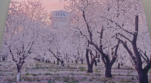 San Joaquin County Agricultural Commissioner image