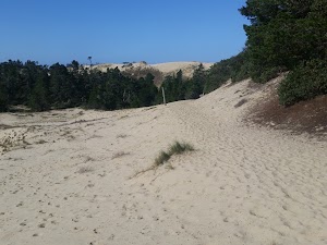 John Dellenback Dunes Trailhead - photo 6