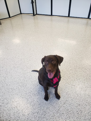 Pet Supply Store «Petco Animal Supplies», reviews and photos, 1203 SE Everett Mall Way f, Everett, WA 98208, USA