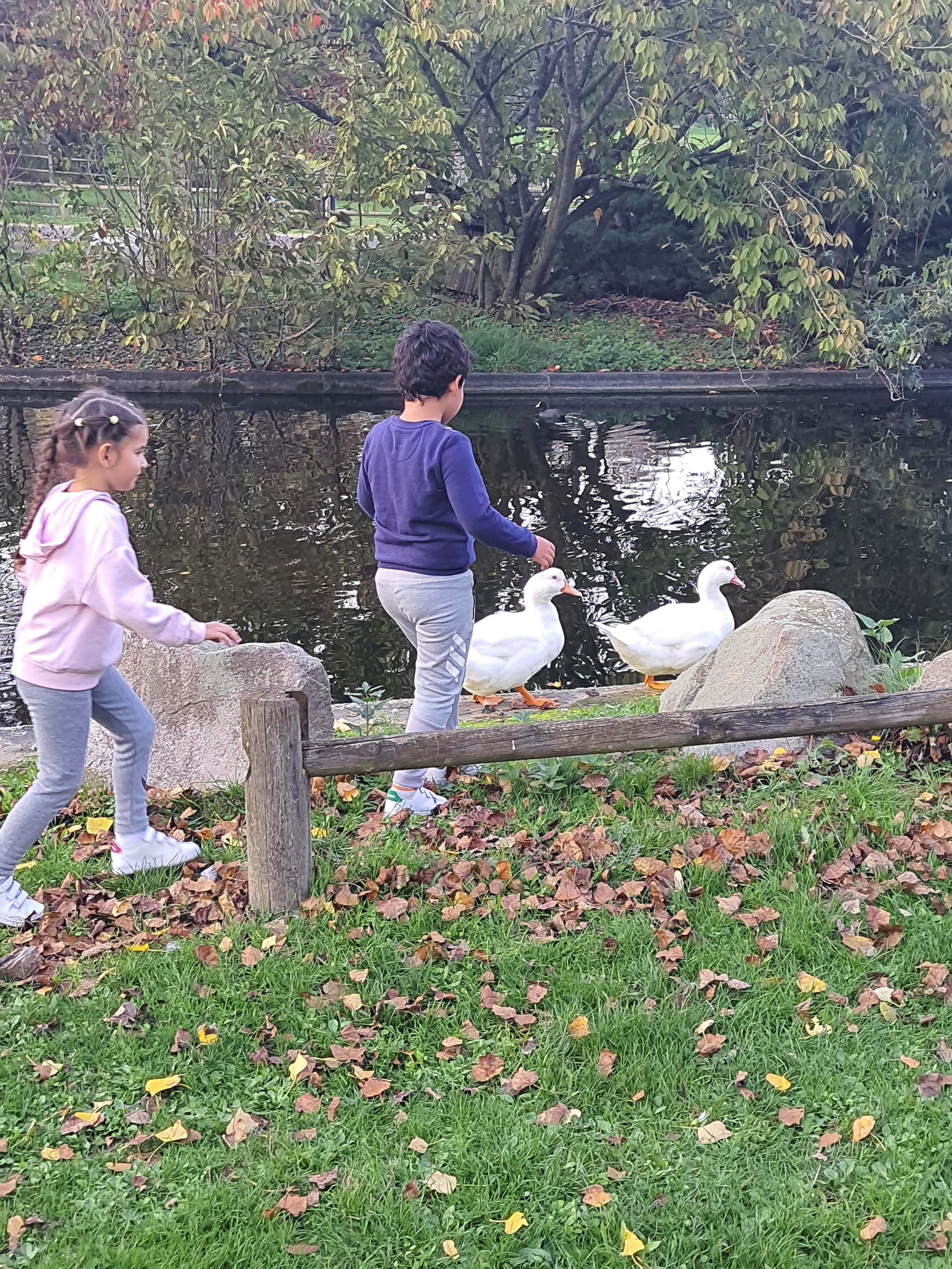 Photo n° 3 de l'avis de Meriem. fait le 10/11/2022 à 10:23