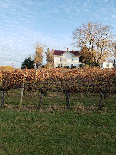 Winery «Gray Ghost Vineyards», reviews and photos, 14706 Lee Hwy, Amissville, VA 20106, USA