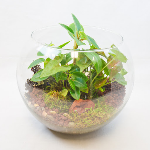 Florist «Fremont Flower Pavilion — The Fremont Florist», reviews and photos, 2090 Warm Springs Ct #148, Fremont, CA 94539, USA