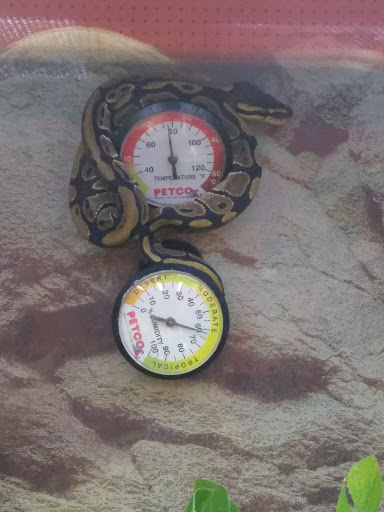 Pet Supply Store «Petco Animal Supplies», reviews and photos, 313 Homer M Adams Pkwy, Alton, IL 62002, USA