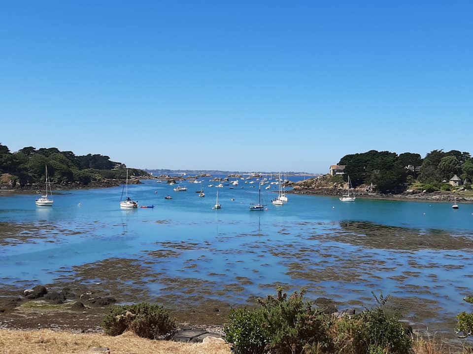 Photo n° 3 de l'avis de REGIMBEAU.l fait le 12/08/2020 à 09:42
