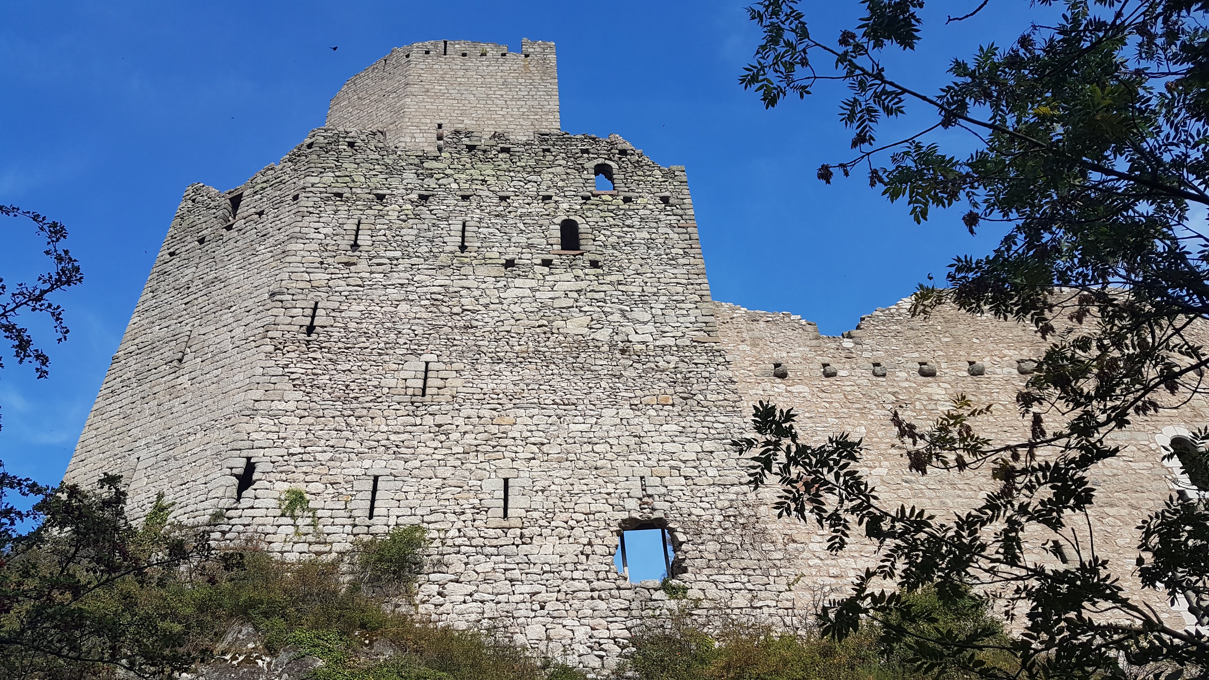 Photo n° 6 de l'avis de néo.� fait le 17/09/2018 à 09:14