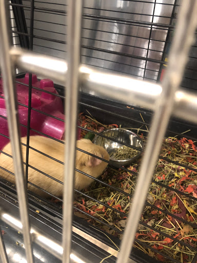 Pet Supply Store «PetSmart», reviews and photos, 5640 Cedar Lake Rd, Minneapolis, MN 55416, USA