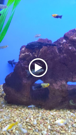 Pet Supply Store «Petco Animal Supplies», reviews and photos, 300 Hylan Dr, Rochester, NY 14623, USA