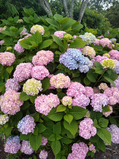 Supermarket «King Kullen», reviews and photos, 52 E Montauk Hwy, Hampton Bays, NY 11946, USA